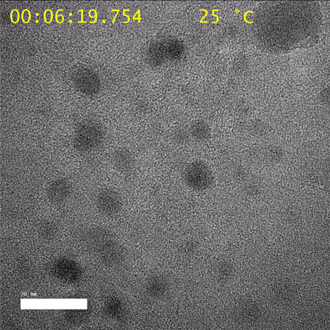 in-situ Transmission Electron Microscopy